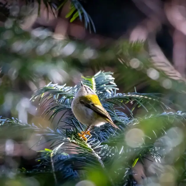 Instagram #hautlignon