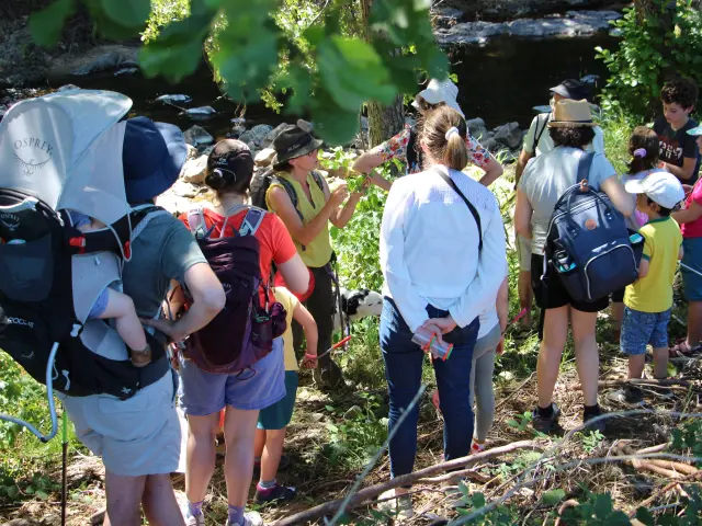 Sur Les Traces De La Loutre