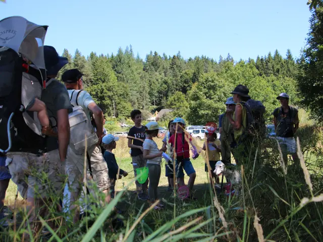 Sur Les Traces De La Loutre