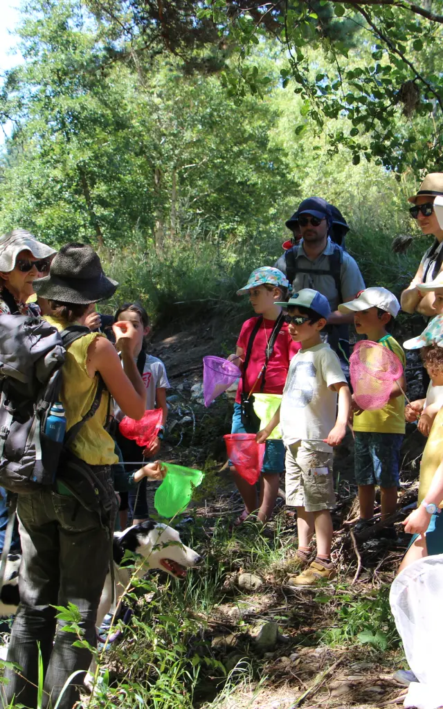 Sur Les Traces De La Loutre