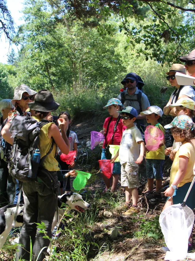 Sur Les Traces De La Loutre
