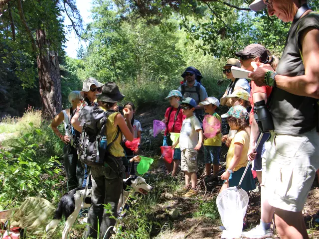 Sur Les Traces De La Loutre