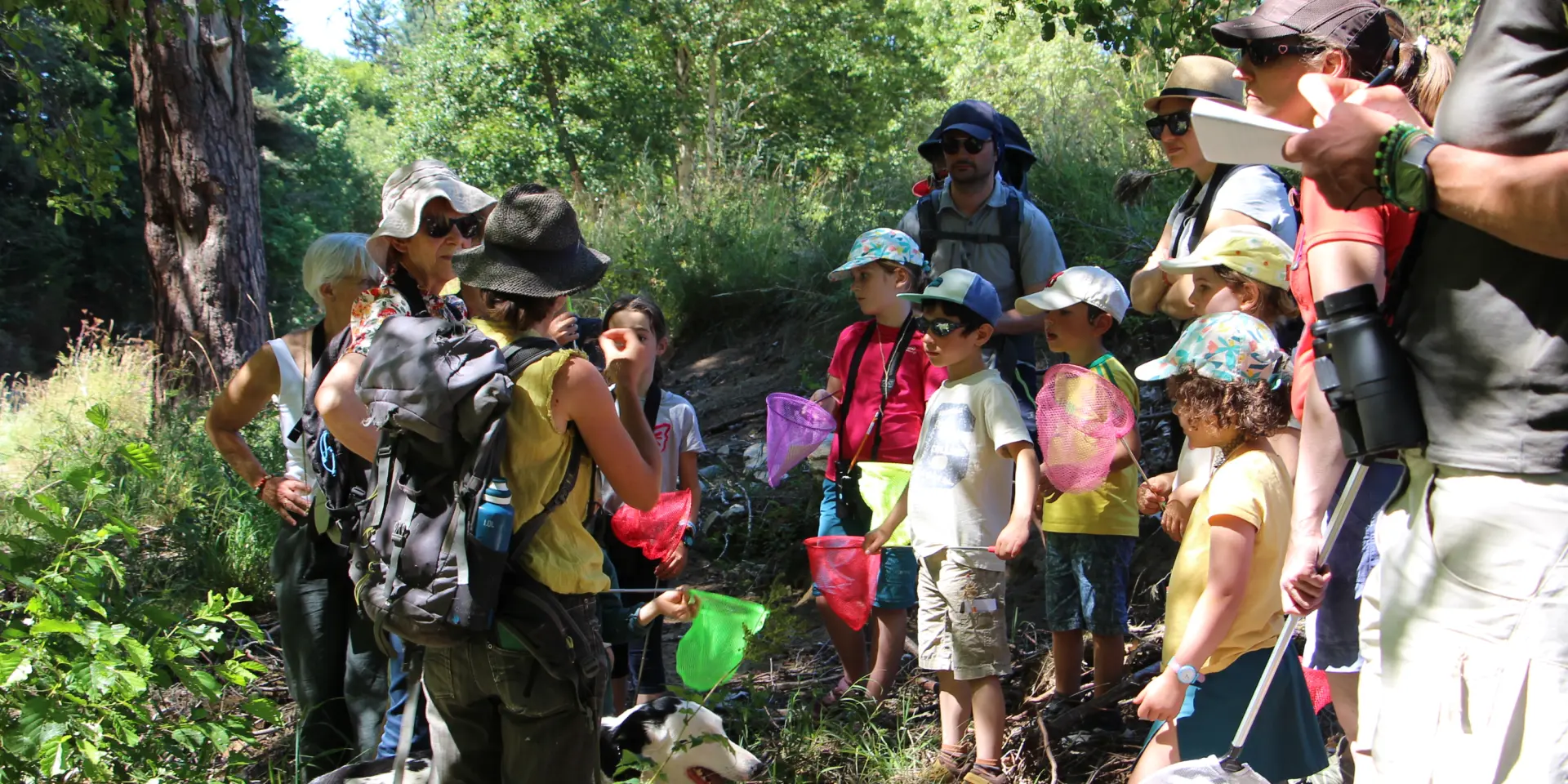 Sur Les Traces De La Loutre