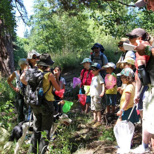 Sur Les Traces De La Loutre