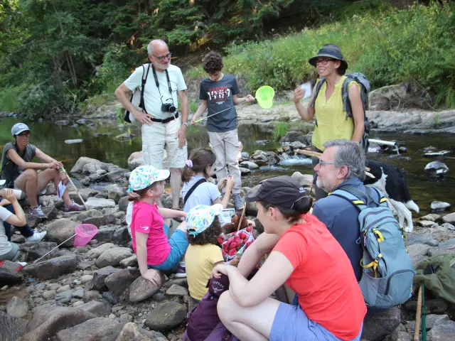 Sur Les Traces De La Loutre