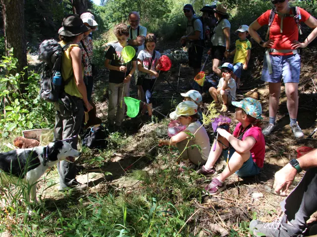Sur Les Traces De La Loutre