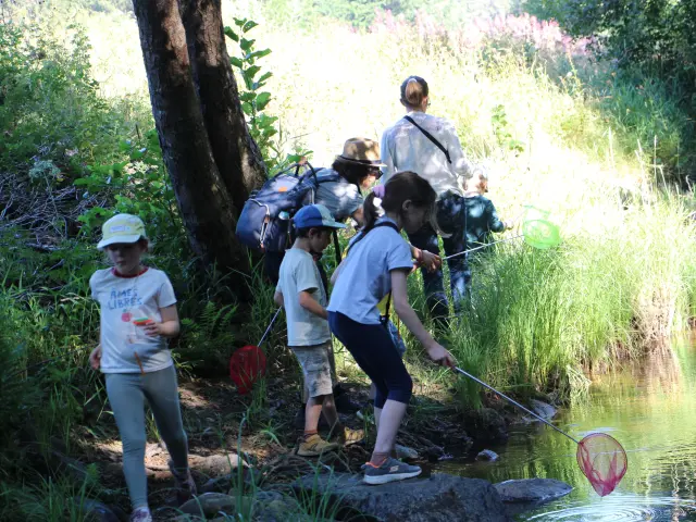 Sur Les Traces De La Loutre