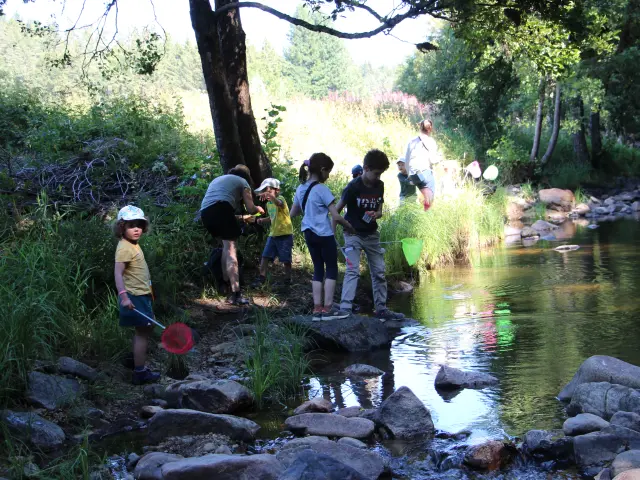 Sur Les Traces De La Loutre