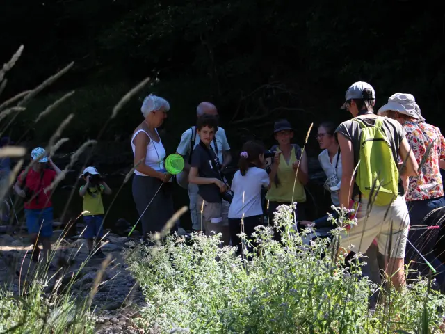 Sur Les Traces De La Loutre