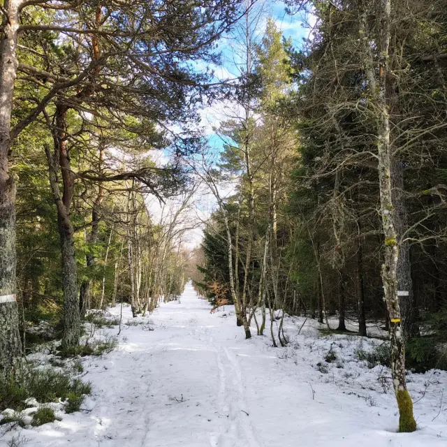 Instagram #hauteloire