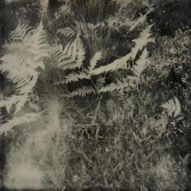 Instagram #chambonsurlignon