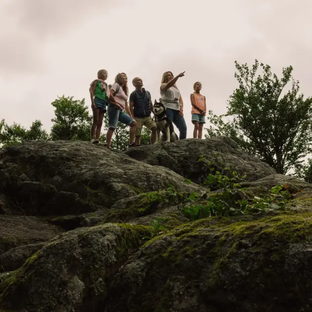 Instagram #hautlignon