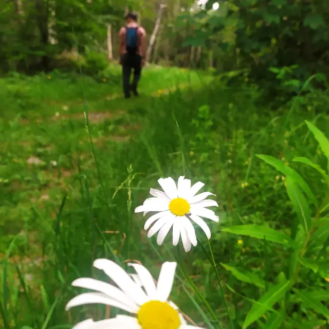 Instagram #picdulizieux