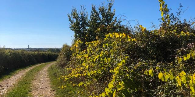 Côte Belet Pamproux, ambiance d'automne