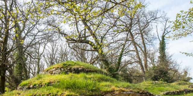 Tumulus de Bougon