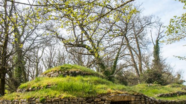 Tumulus de Bougon