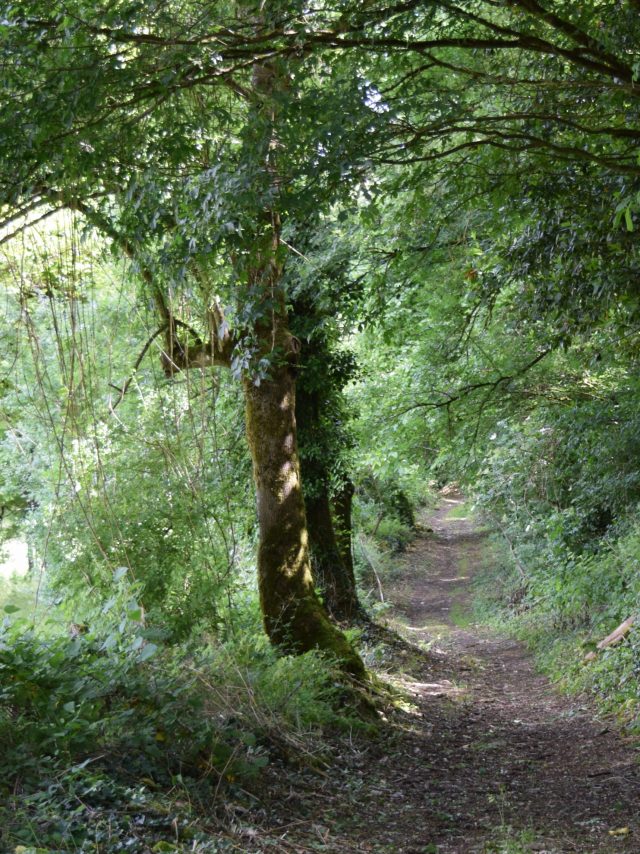 Chemin randonnée vers le lavoir de Puyblain