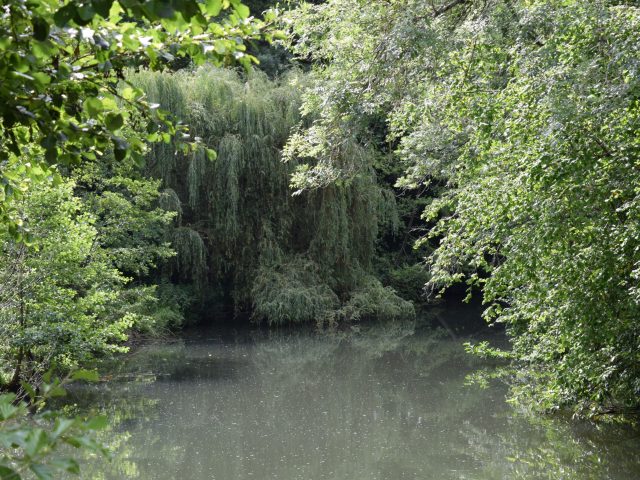 Sèvre Niortaise à François