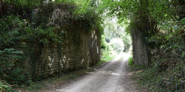 Pont TDS, Augé