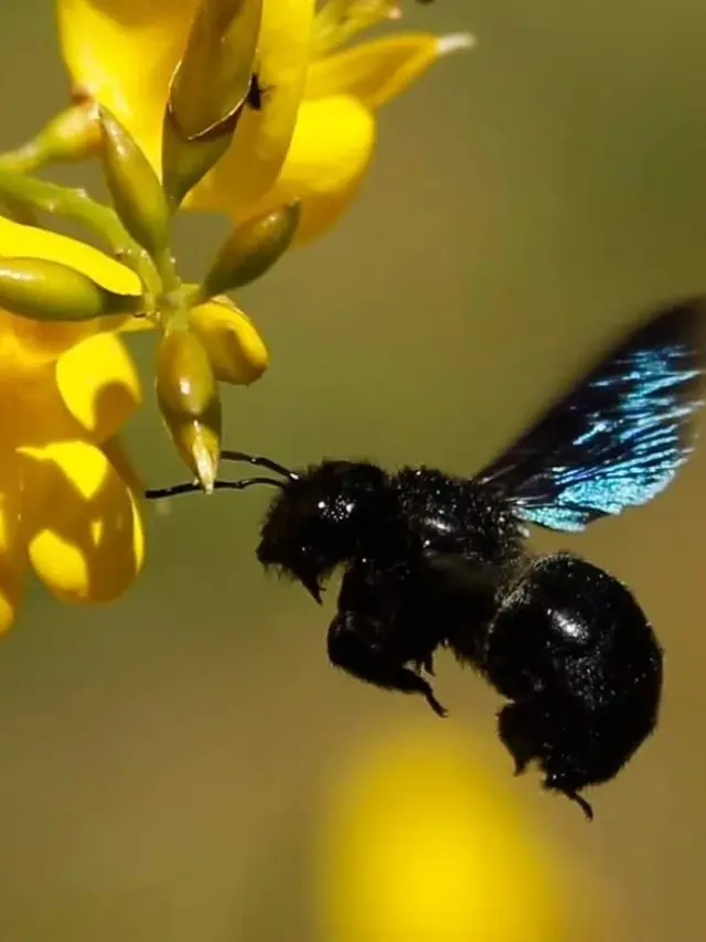 Instagram #hautvaldesevre