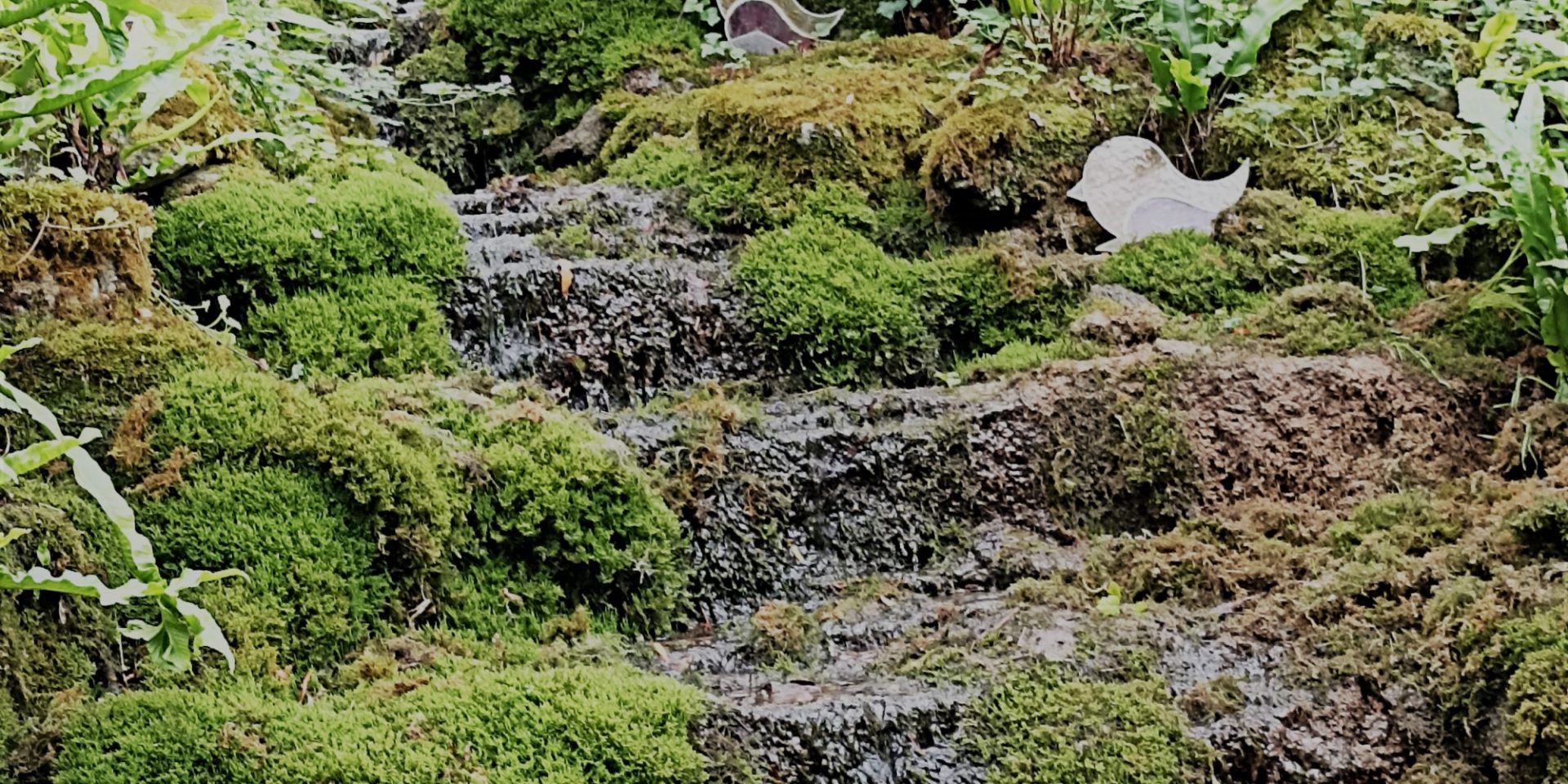 Jardin A fleur d'eau Cherveux