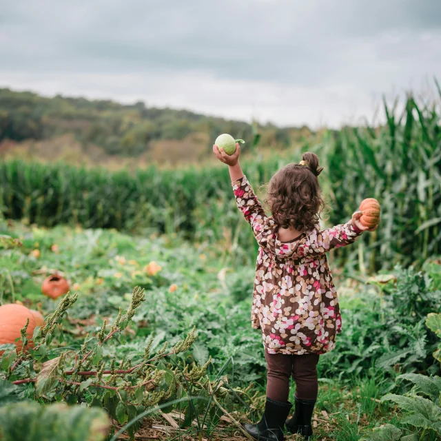 Automne en Haut Val de Sèvre (79)