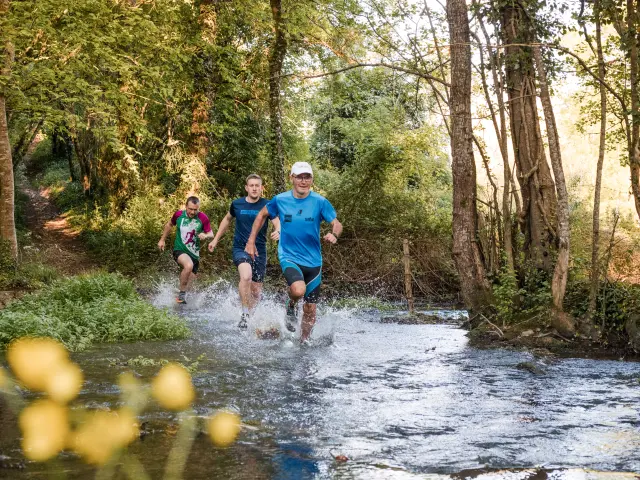 Trail Haut Val de Sèvre