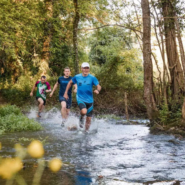 Trail Haut Val de Sèvre