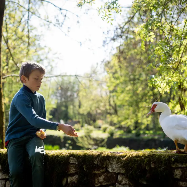 Expériences pour faire le plein d'énergie Haut Val de Sèvre