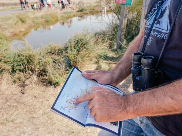 Animateur De La Lpo Sur La Reserve Naturelle Lilleau Des Niges Indiquant Le Fier D Ars Sur Un Guide 40008 1200px