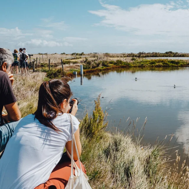 Visitors_observing_and_photographing_the_fauna_of_the_Nature_Reserve_Lilleau_des_Niges_40010-1200px