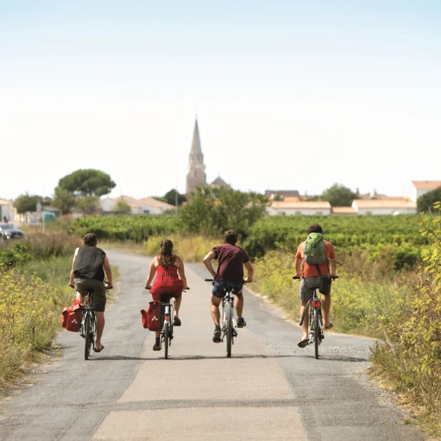 Velos Vignes Sainte Marie Mathieu Genon