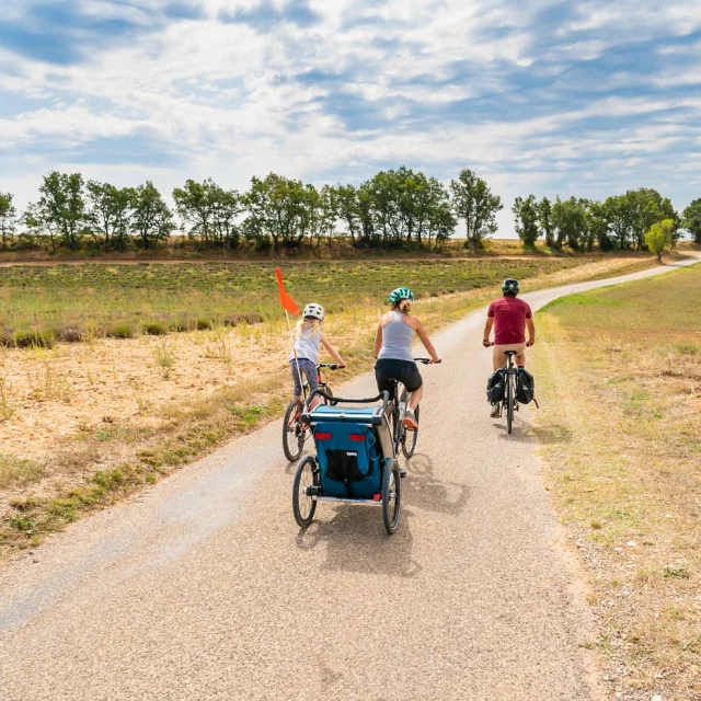 Vélo En Balade En Famille sur le Plateau De Valensole