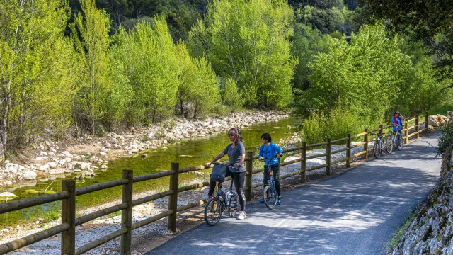 La Vigne à vélo, Draguignan