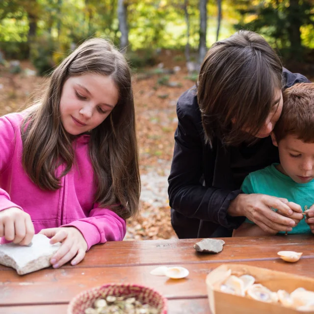 Muse De La Prehistoire Credit Photo Musee De La Prehistoire