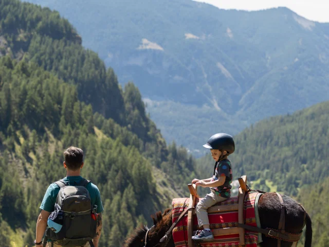 Idée sejour haut verdon