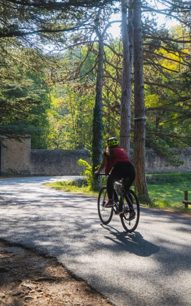 Circuit 48 Base Vtt Credit Julien Abellan – Velo Loisir Provence
