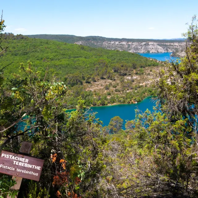 1770202387545 Tvergoz