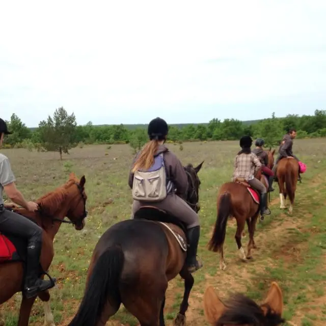 Balade A Cheval Ou Poney Montmeyan