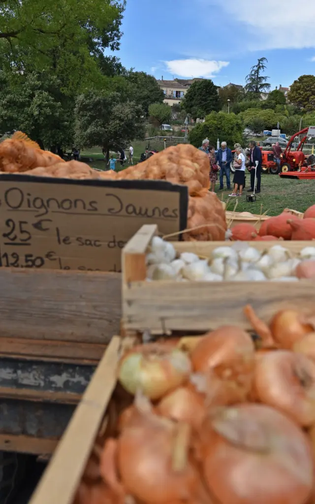 Foire Oignon 2025 47