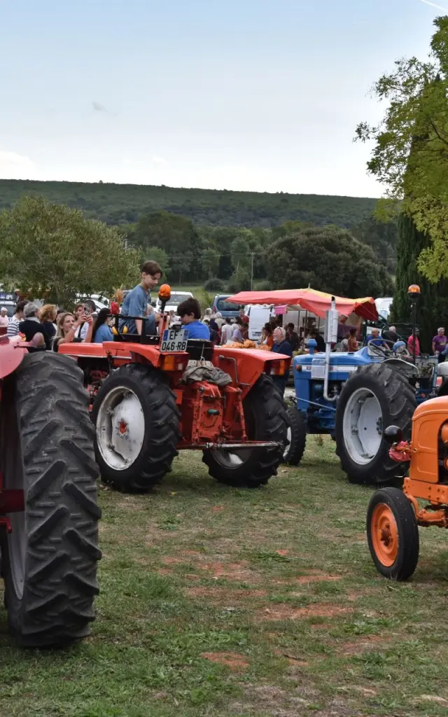 Foire Oignon 2025 36