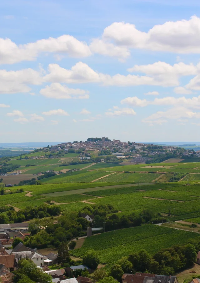 Sancerre｜Thibaut Soulet