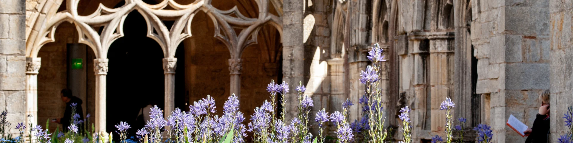 Abbaye de Noirlac｜Yannick Pirot, 2024