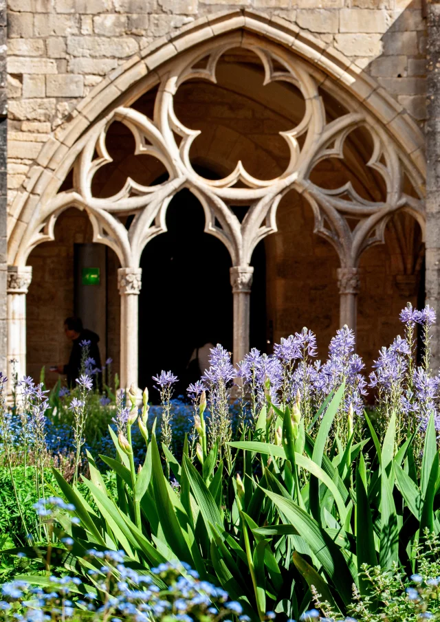 Abbaye de Noirlac｜Yannick Pirot, 2024