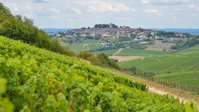 Sancerre｜Route Jacques Cœur