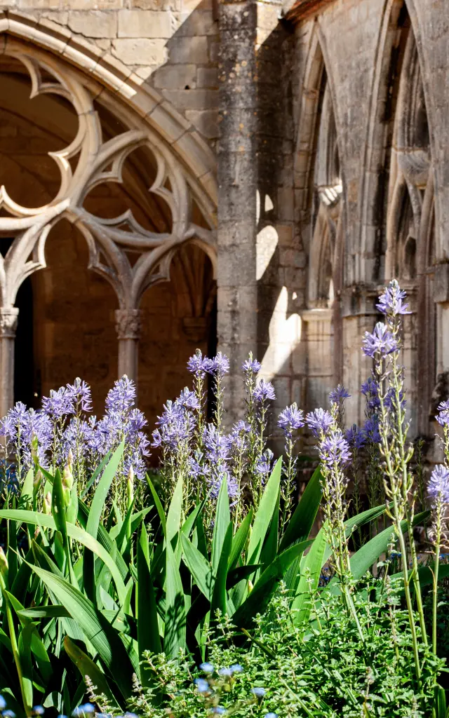 Abbaye de Noirlac｜Yannick Pirot, 2024