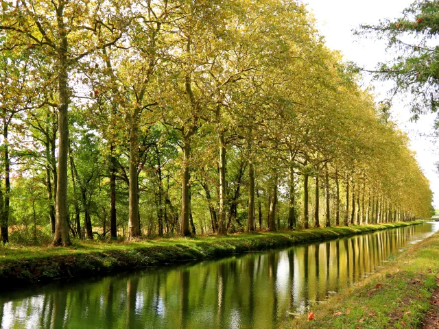 Argent-sur-Sauldre, Canal｜C. Bordier, 2020