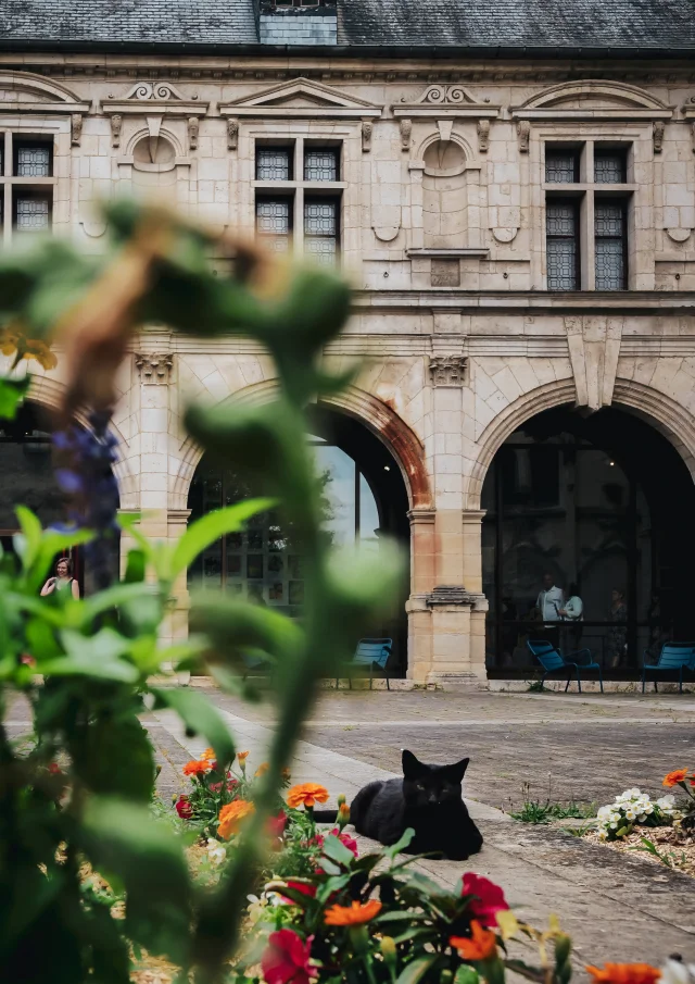 Bourges, Musée Esteve｜Beneste