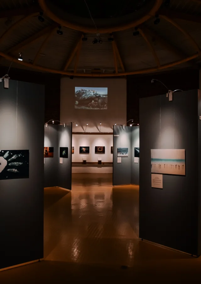 Bourges, Muséum d'Histoire Naturelle｜Beneste