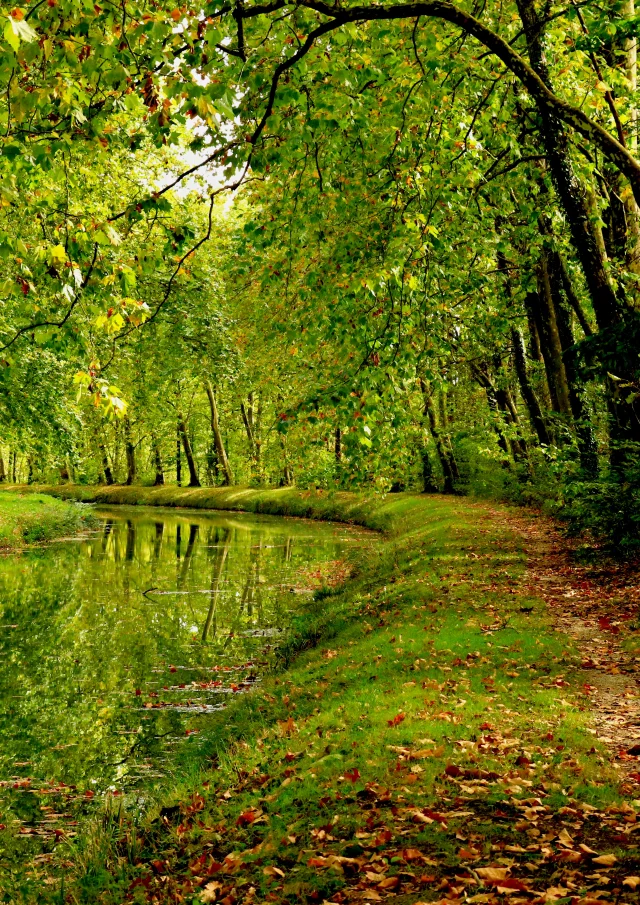 Argent-sur-Sauldre, Canal｜C. Bordier, 2023